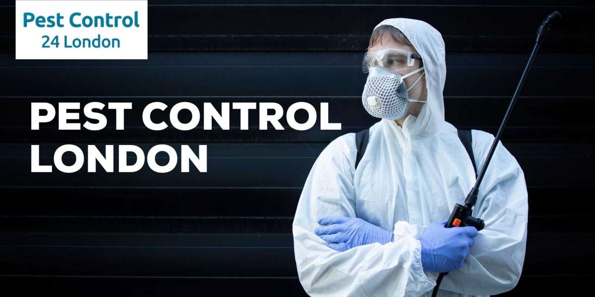 Pest Control London | An all-encompassing pest control service