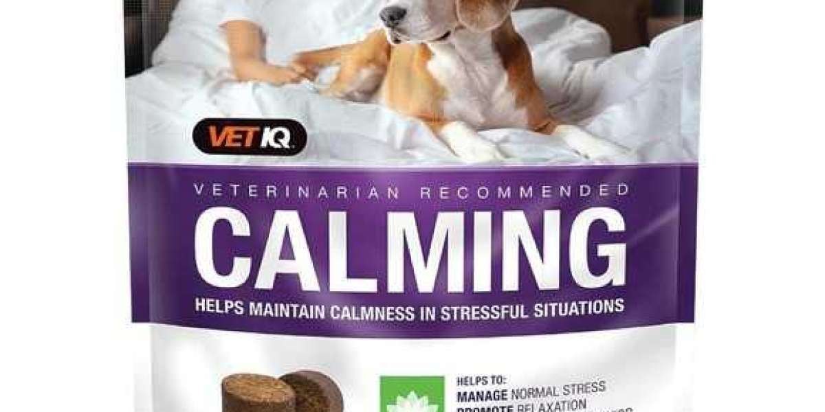 Demystifying Dog Anxiety and Finding Calm with VetIQ Calming Chews