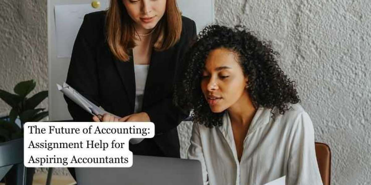 The Future of Accounting Assignment Help for Aspiring Accountants