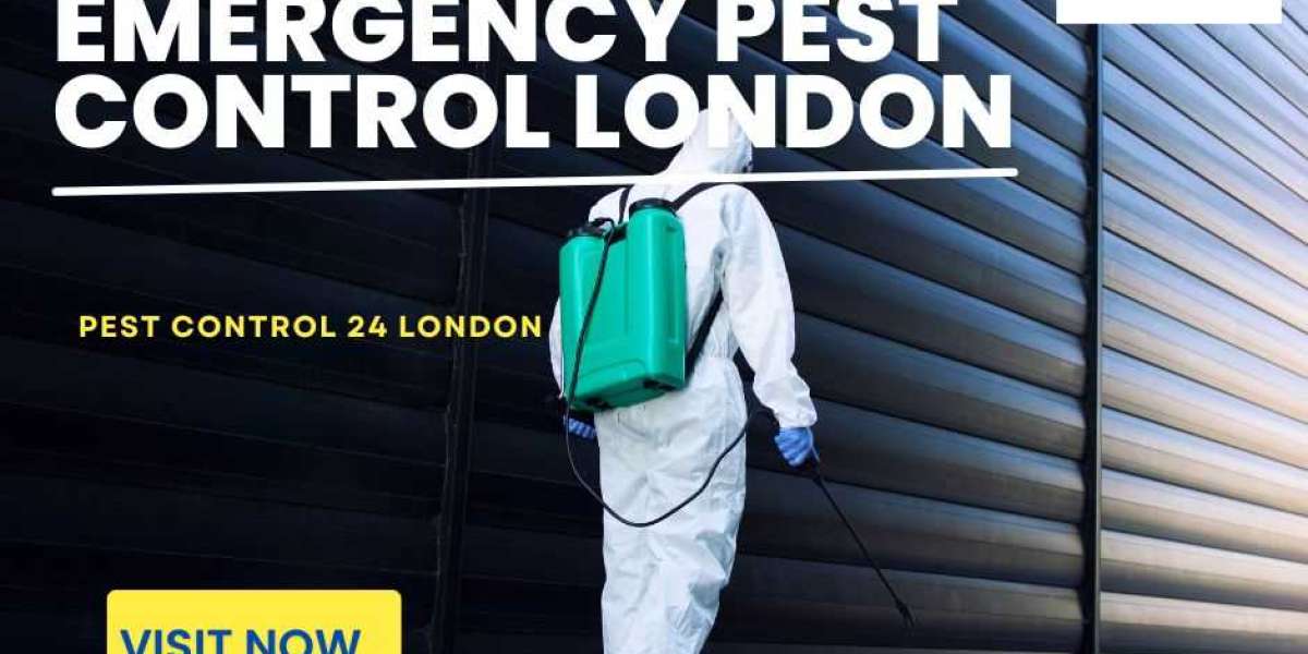 Rapid Solutions for Pest Infestations : Emergency Pest Control London