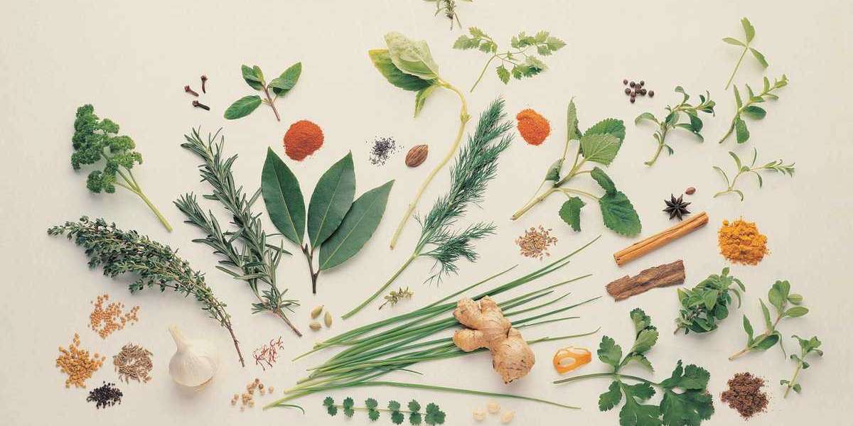 From Tradition to Modern Medicine: Navigating the Medicinal Plant Extracts Market 2022-2030