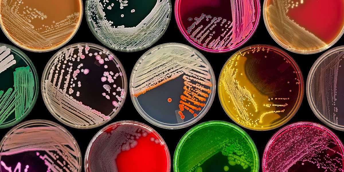 Unleashing the Microbiome's Potential: A Look at Key Players in the Microbial Products Market