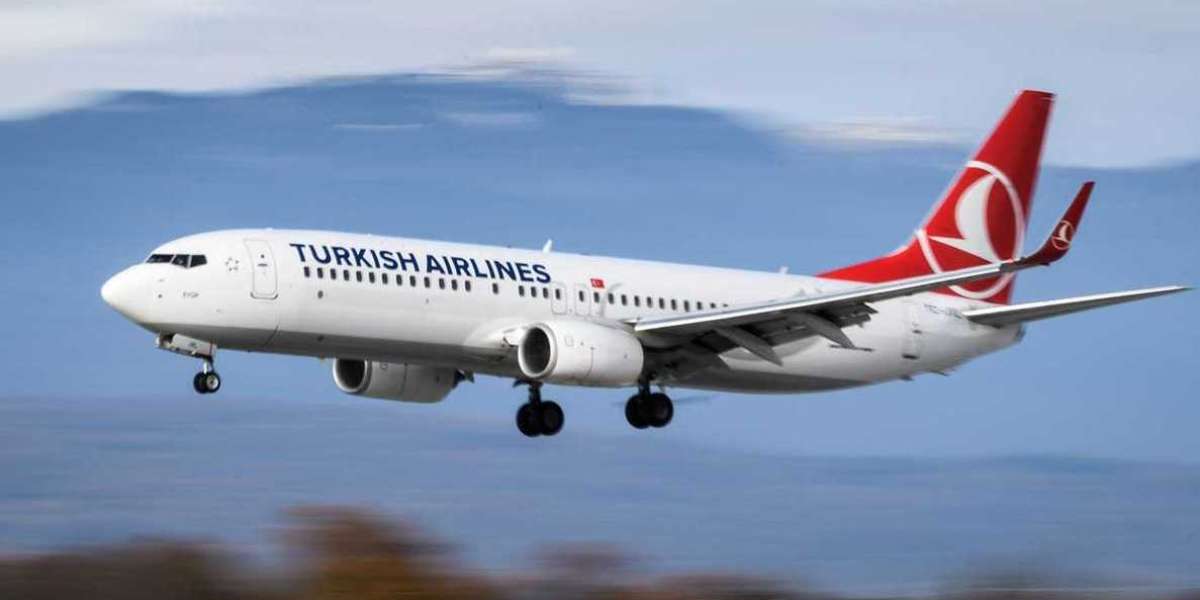 How to Choose the Seat on Turkish Airlines?