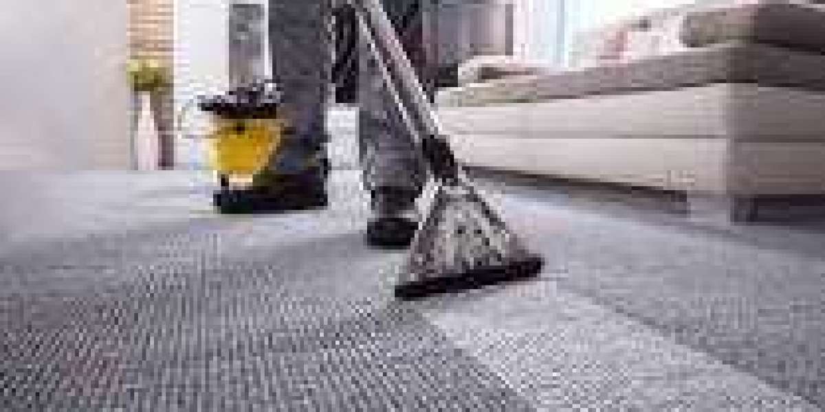 Achieving Seamless Home Aesthetics with Expert Carpet Cleaning Services