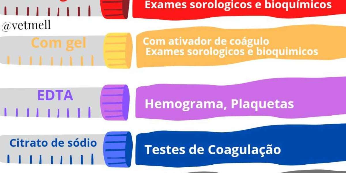 Radiografía para perro: Qué se ve, cuánto cuesta, dudas .. Mascota y Salud