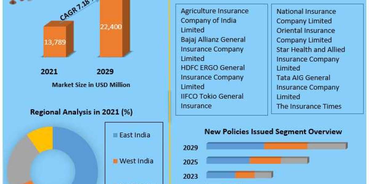 India Non-Life Insurance Market Sector Study, Magnitude, Key Influences, and Projected Changes