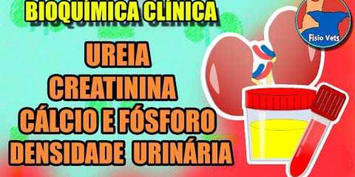 Radiografía para perro: Qué se ve, cuánto cuesta, dudas .. Mascota y Salud