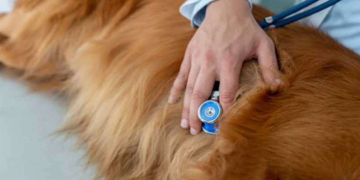 Veterinary Center fees and eligibility