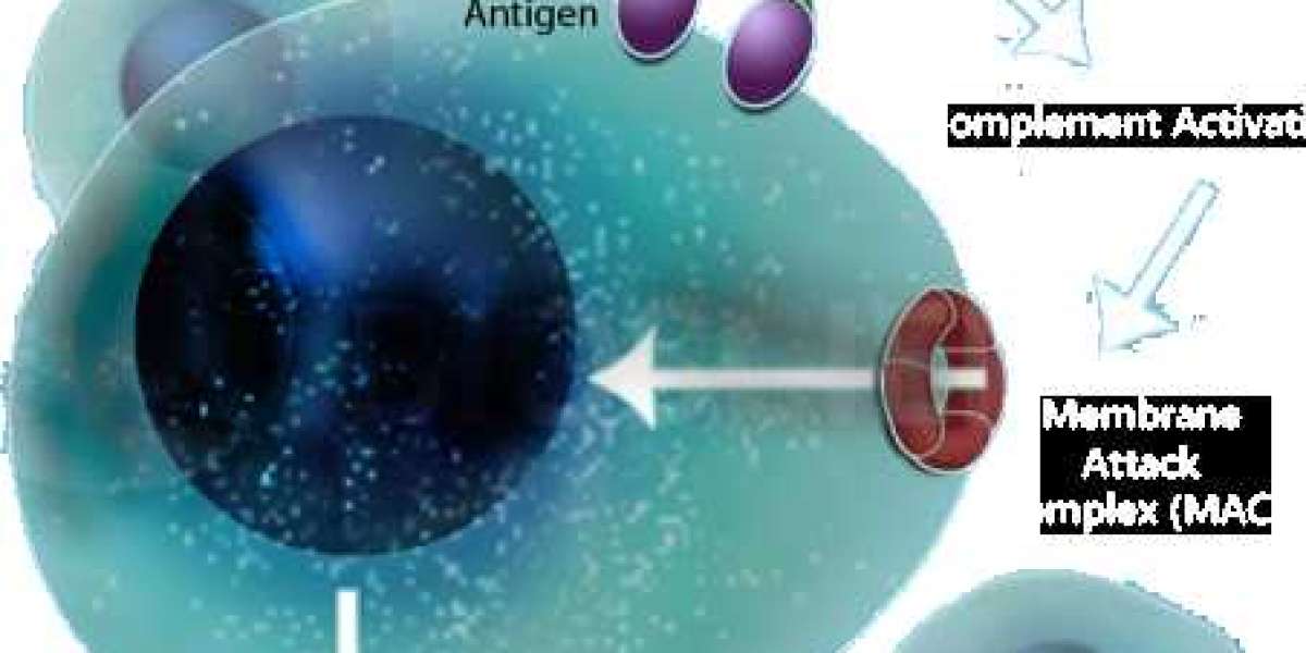 The Growing Role of Polysaccharides in Bacterial and Fungal Research