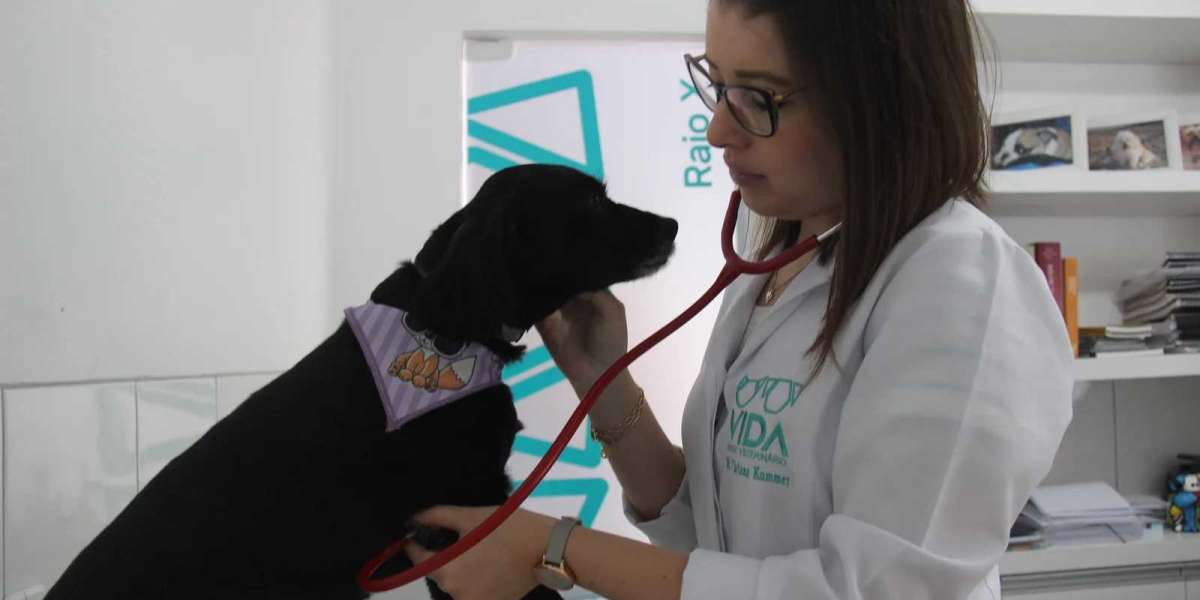 Crear Receta Veterinario