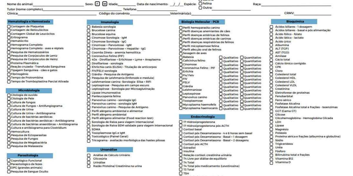 Principios básicos de la radiografía torácica en veterinaria