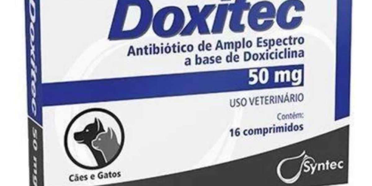 Radiografía para perro: Qué se ve, cuánto cuesta, dudas .. Mascota y Salud