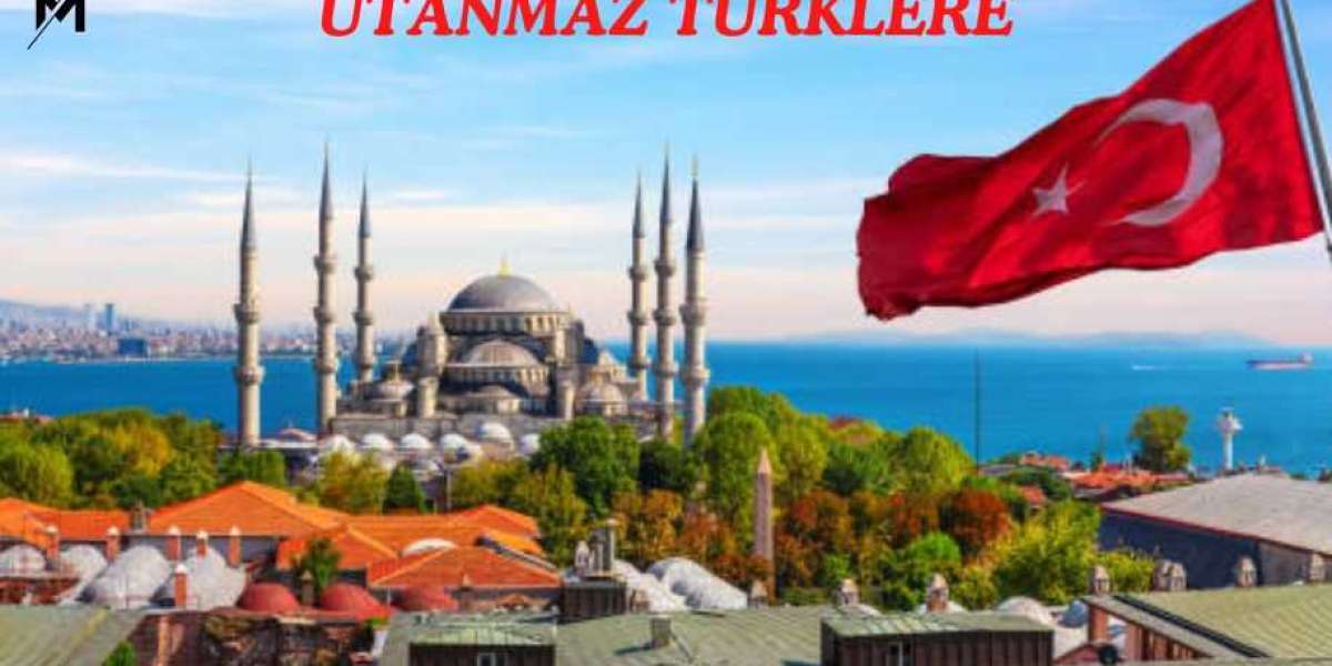 "Utanmaz Türkler: How Historical Tensions Shaped a Derogatory Phrase"