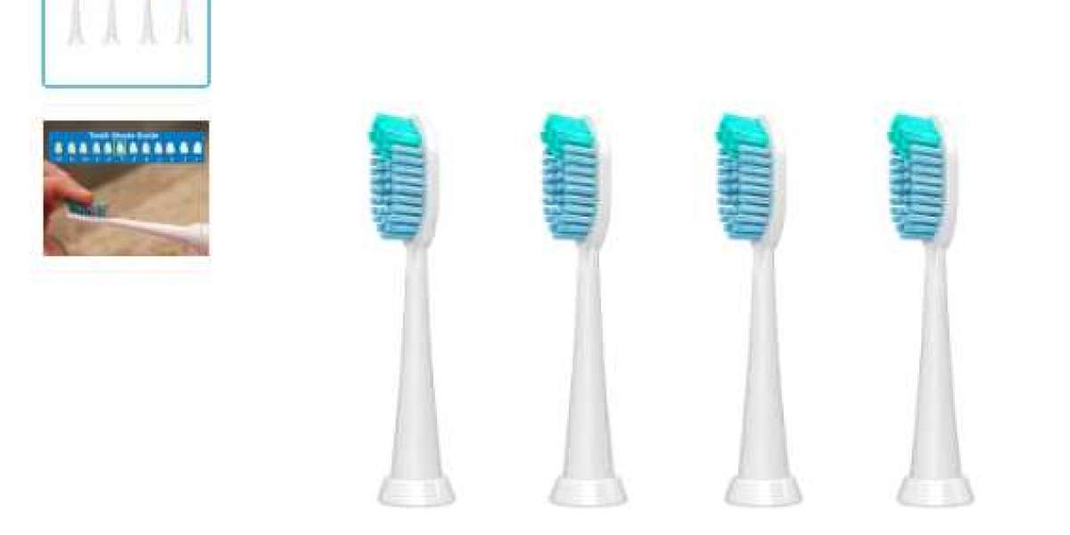 The Ultimate Guide to Ultraviolet Toothbrush Sanitizers: Ensuring Superior Oral Hygiene