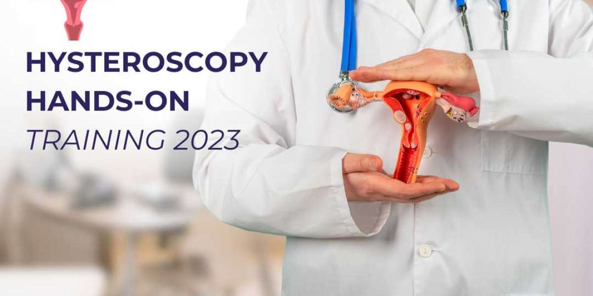 Hysteroscopy Hands-on Training 2024