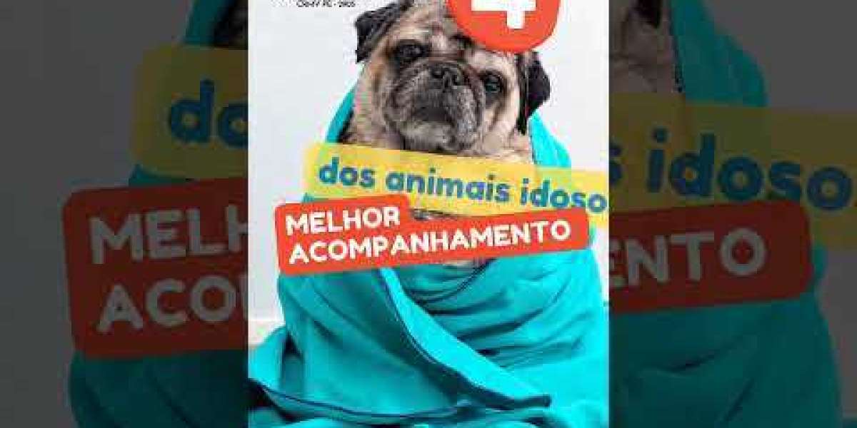 Cómo cuidar de perros con enfermedades cardíacas: Guía completa