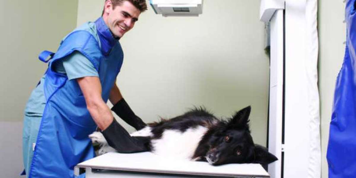 Radiografía veterinaria portátil Todos los fabricantes de dispositivos médicos