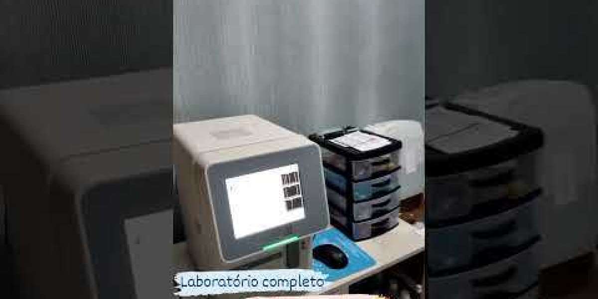 Sistema de radiografía veterinaria digital Vimago GT30 Epica Animal Health para animales domésticos para caballos