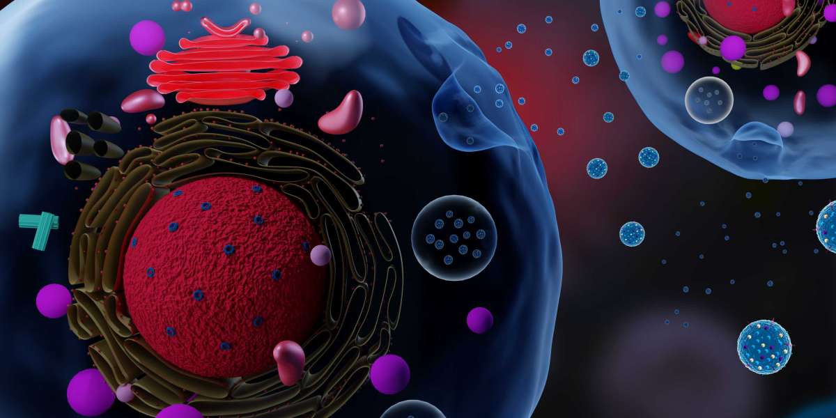 Pharmacokinetic Characteristics of Monoclonal Antibody Drugs