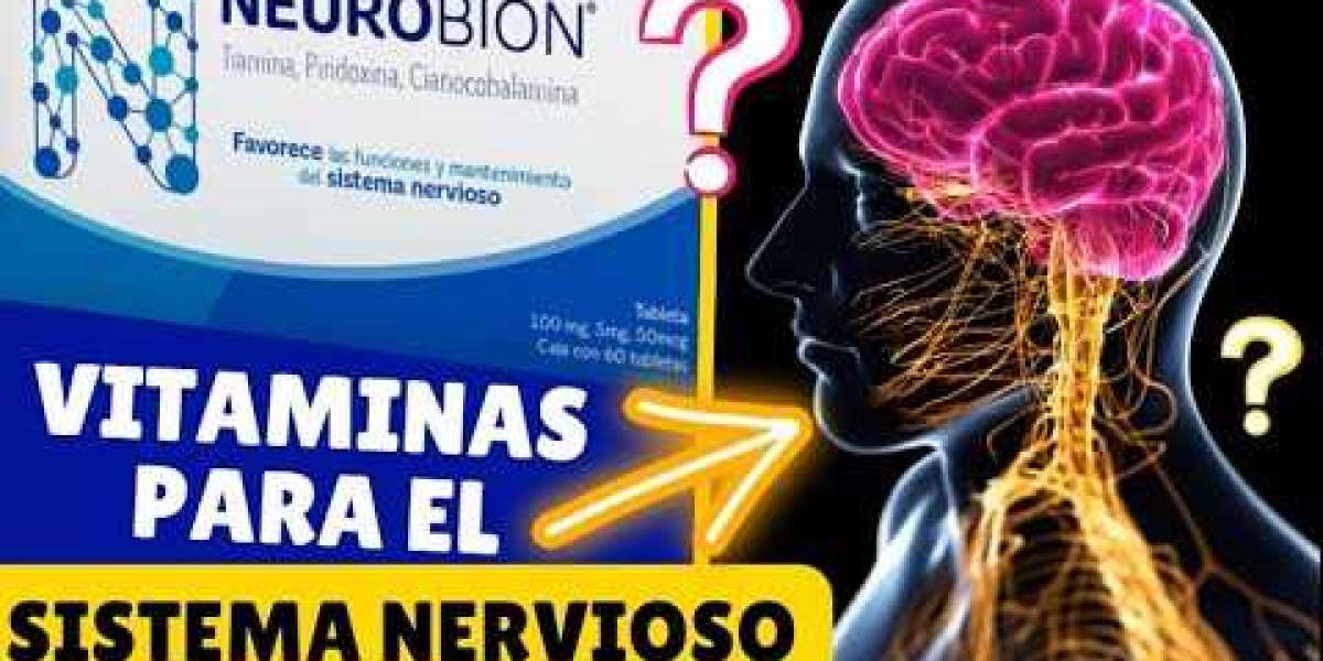 La planta ruda: propiedades beneficios y usos en la medicina natural