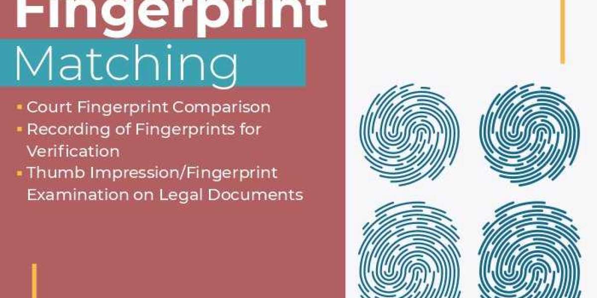 Precision Matching: The Science Behind Fingerprints