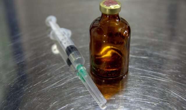 medicine, veterinary, equipment, injection, bottle, care, vet, doctor, infection, pain, itching, treatment, diagnosis, antibiotic, analgesic, needle, gray pain, gray doctors, gray medicine, gray bottle, gray care, veterinary, veterinary, vet, vet, vet, vet, vet