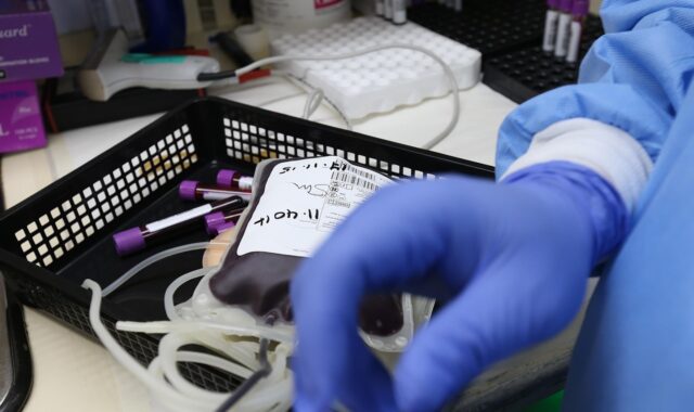 donation, donate, plasma, donor, life, biology, transfusion, give, health, medical