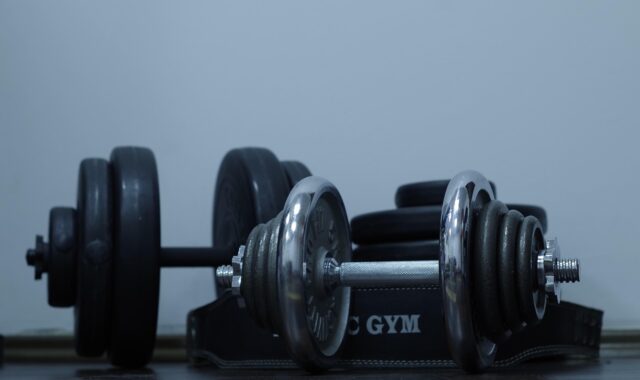 sport, exercises, fitness center, dumbbells, bitumen, iron, health, slimming, muscles, bodybuilding, diet, dumbbells, dumbbells, bodybuilding, bodybuilding, bodybuilding, bodybuilding, bodybuilding
