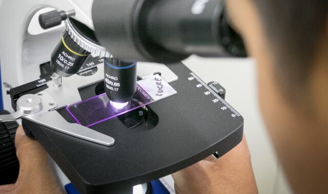 undertake, investigation, entrepreneur, microscope, cells, science, biology, photomicrograph, pathogen, germ, staph, micrograph, microscope, microscope, microscope, microscope, microscope