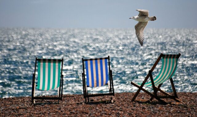 deckchairs, beach, sea, coast, shore, seashore, seaside, beach chairs, nature, folding chairs, seagull, gull, bird, flying