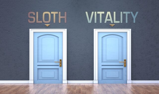 sloth, vitality, choice, decide, opposite, option, select, alternative, or, pick, choose, decision, preference, direction, life, door, label, sign, symbol, selection, 3d, analogy, presentation, abstract, model, sloth, sloth, sloth, choice, decide, decide, opposite, select, choose, choose, choose, choose, choose, preference, direction, sign