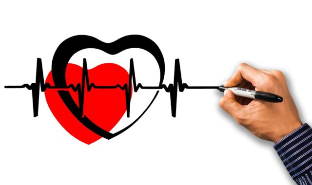 heart, health, pulse, heart rate, protection, care, examination, medicine, doctor, pulse, heart rate, heart rate, heart rate, heart rate, heart rate